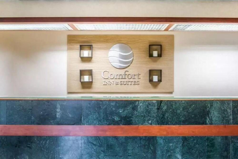Comfort Inn & Suites Maumee - Toledo I80-90 מראה חיצוני תמונה